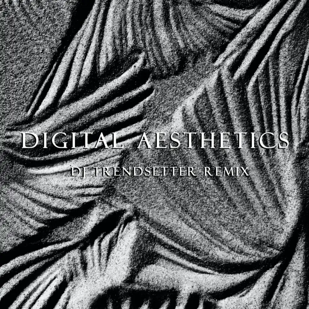 Digital Aesthetics (DJ Trendsetter Remix)