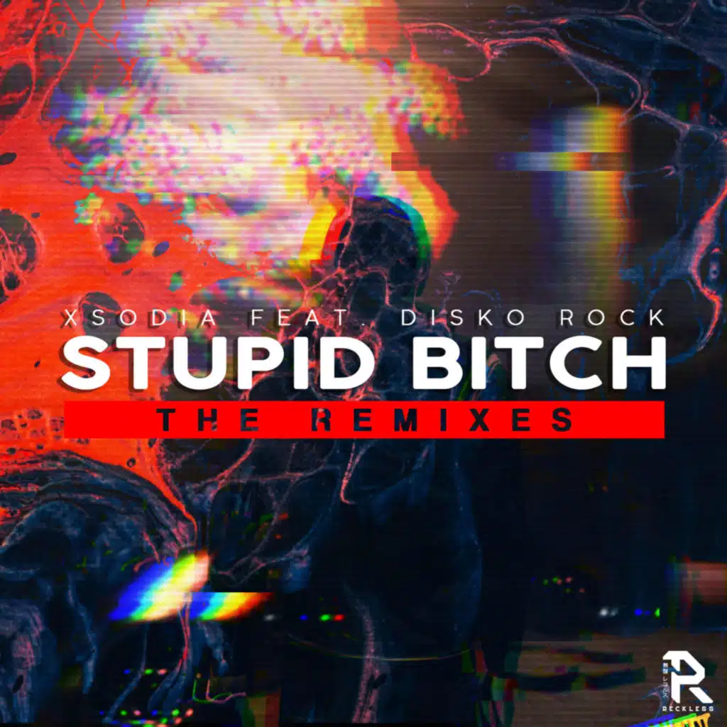 Stupid Bitch (Remixes) [feat. Disko Rock]