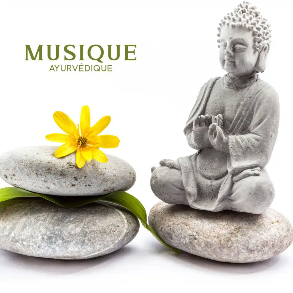 Musique ayurvédique