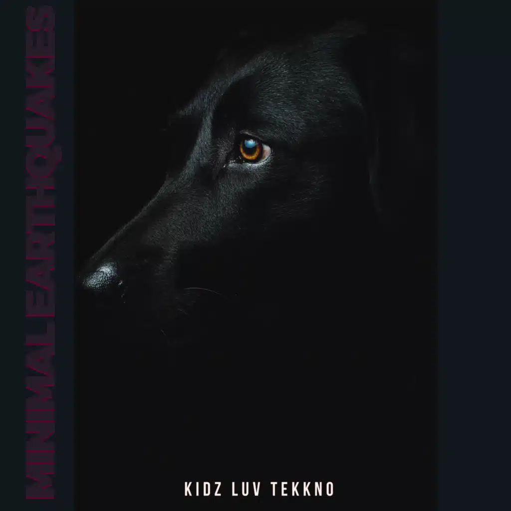 Dj's Double Smile, The Electro Dudes