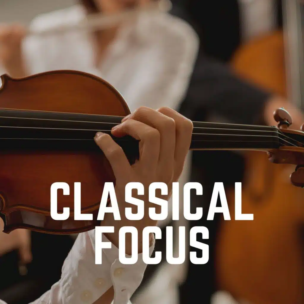 Mozart: Symphony No.40 in G Minor (1st Movement)