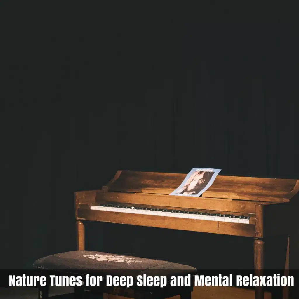 Nature Tunes for Deep Sleep and Mental Relaxation