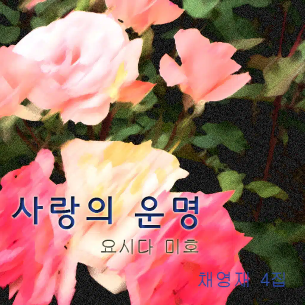 채영재