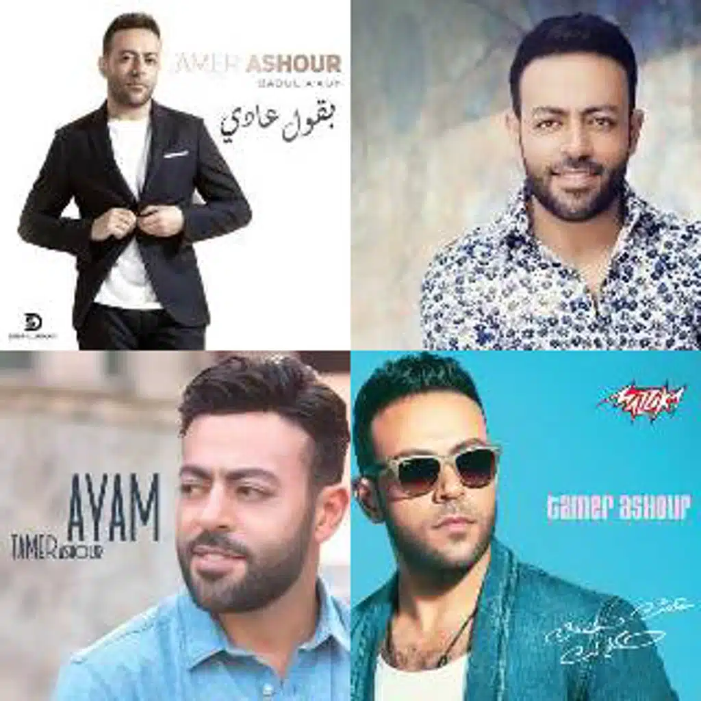tamer ashour