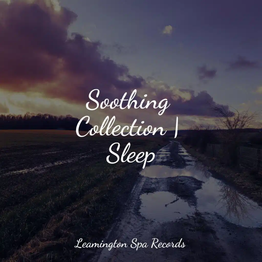 Soothing Collection | Sleep
