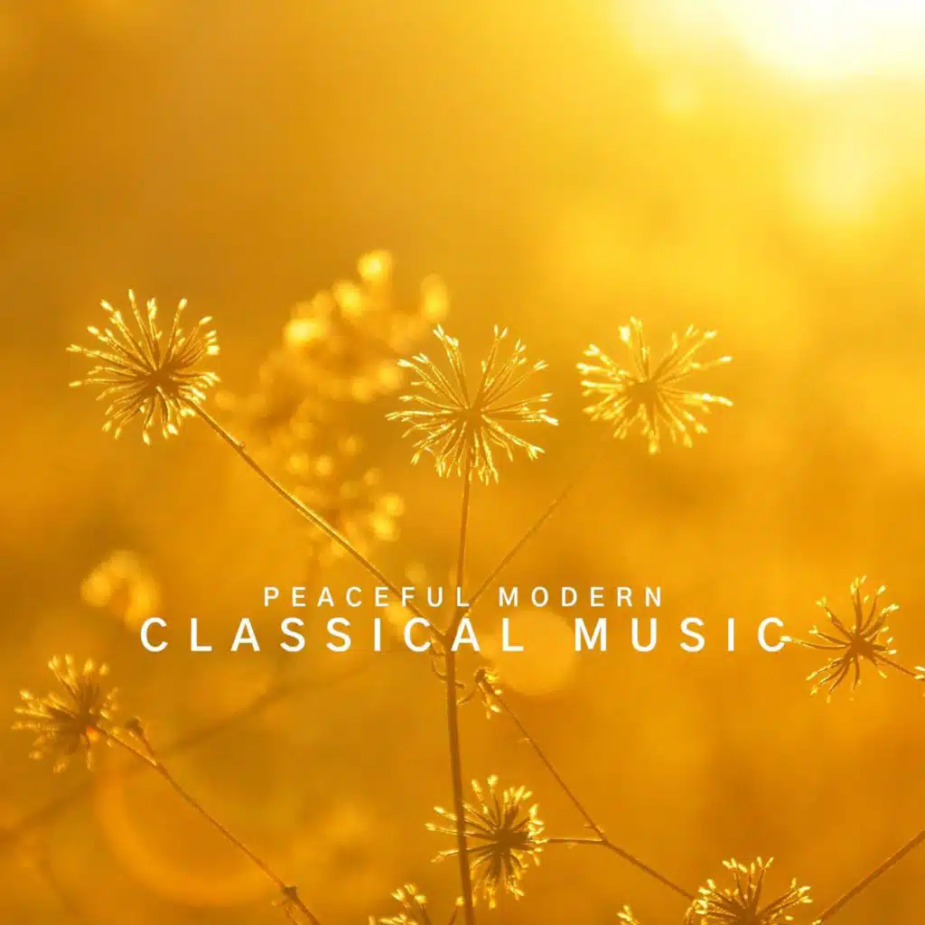 Peaceful Modern Classical Music