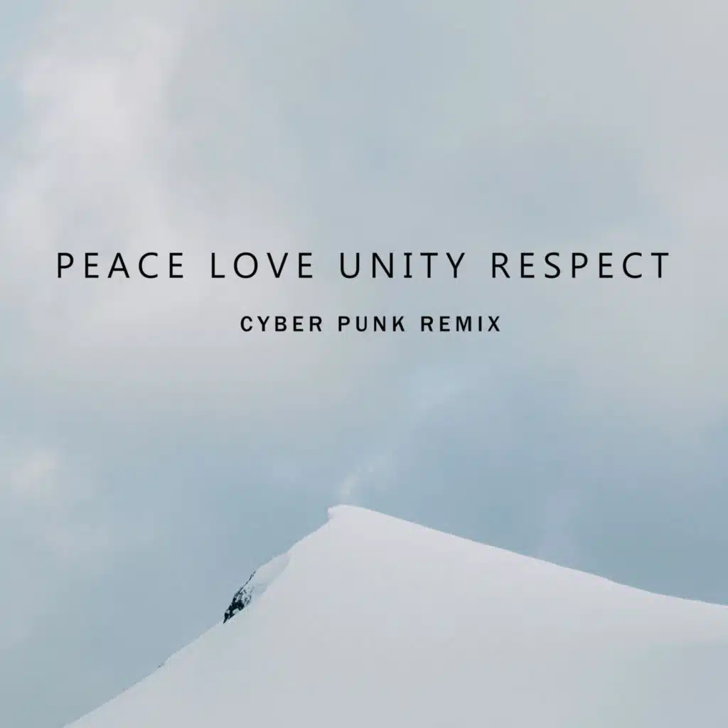 Peace Love Unity Respect (Cyber Punk Remix)