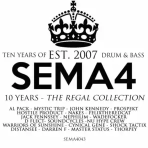 Ten Years Of Sema4 Drum  and amp; Bass: The Regal Collection