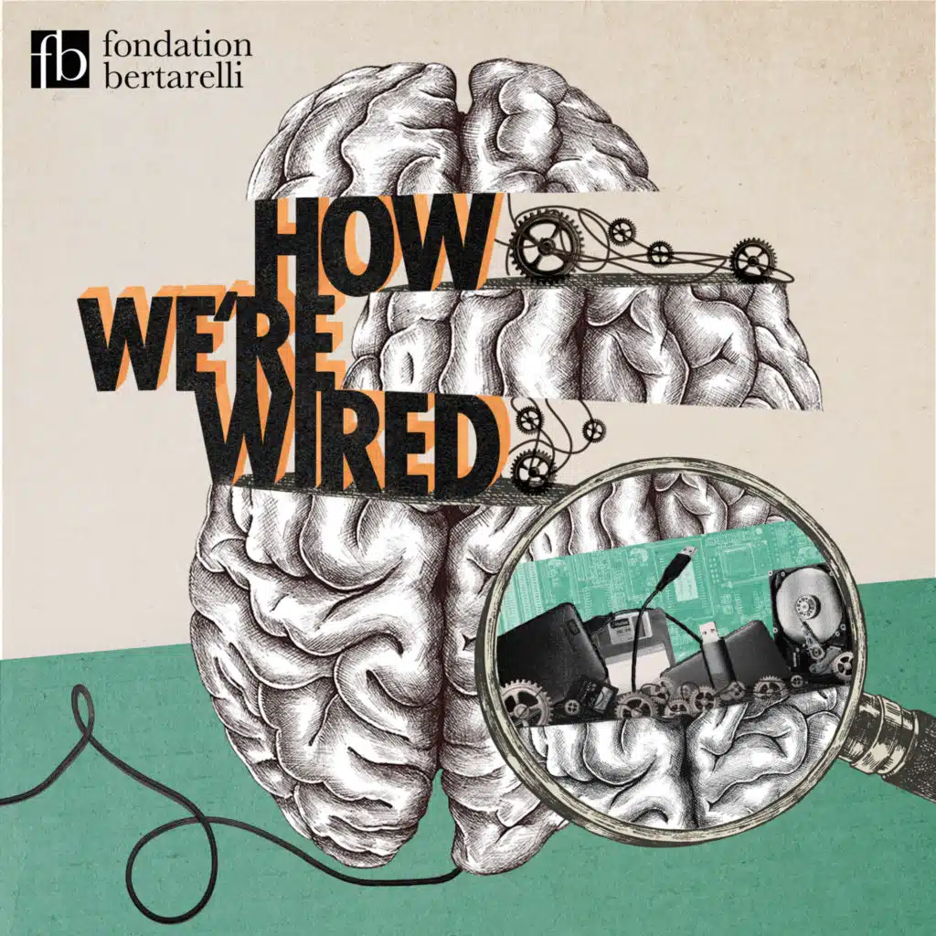 Focus - Why We Forget