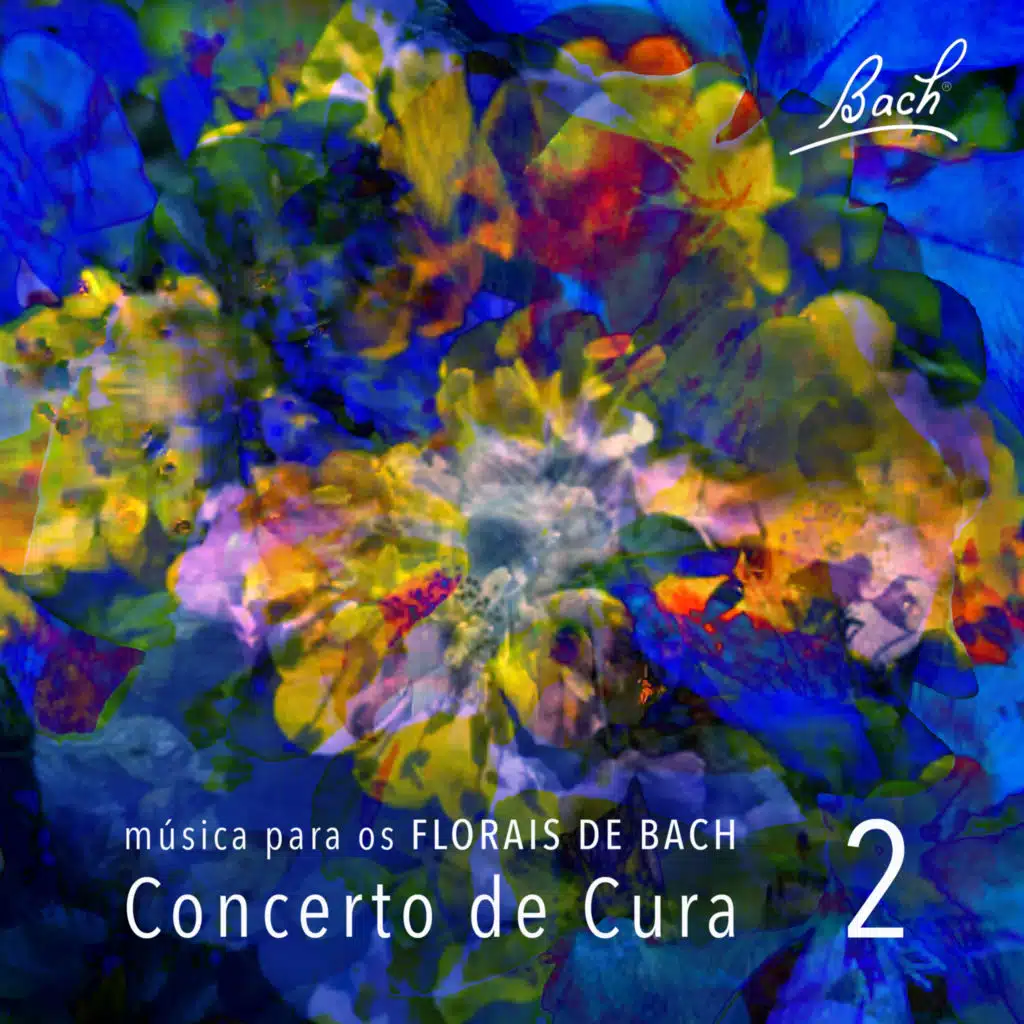 Música para os Florais de Bach, Vol. 2 (feat. Adriano Grineberg & Edu Gomes & A Pirâmide)