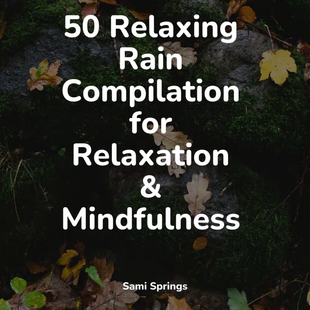 50 Relaxing Rain Compilation for Relaxation & Mindfulness