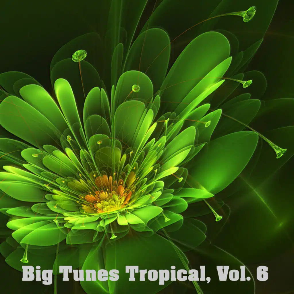 Big Tunes Tropical, Vol. 6