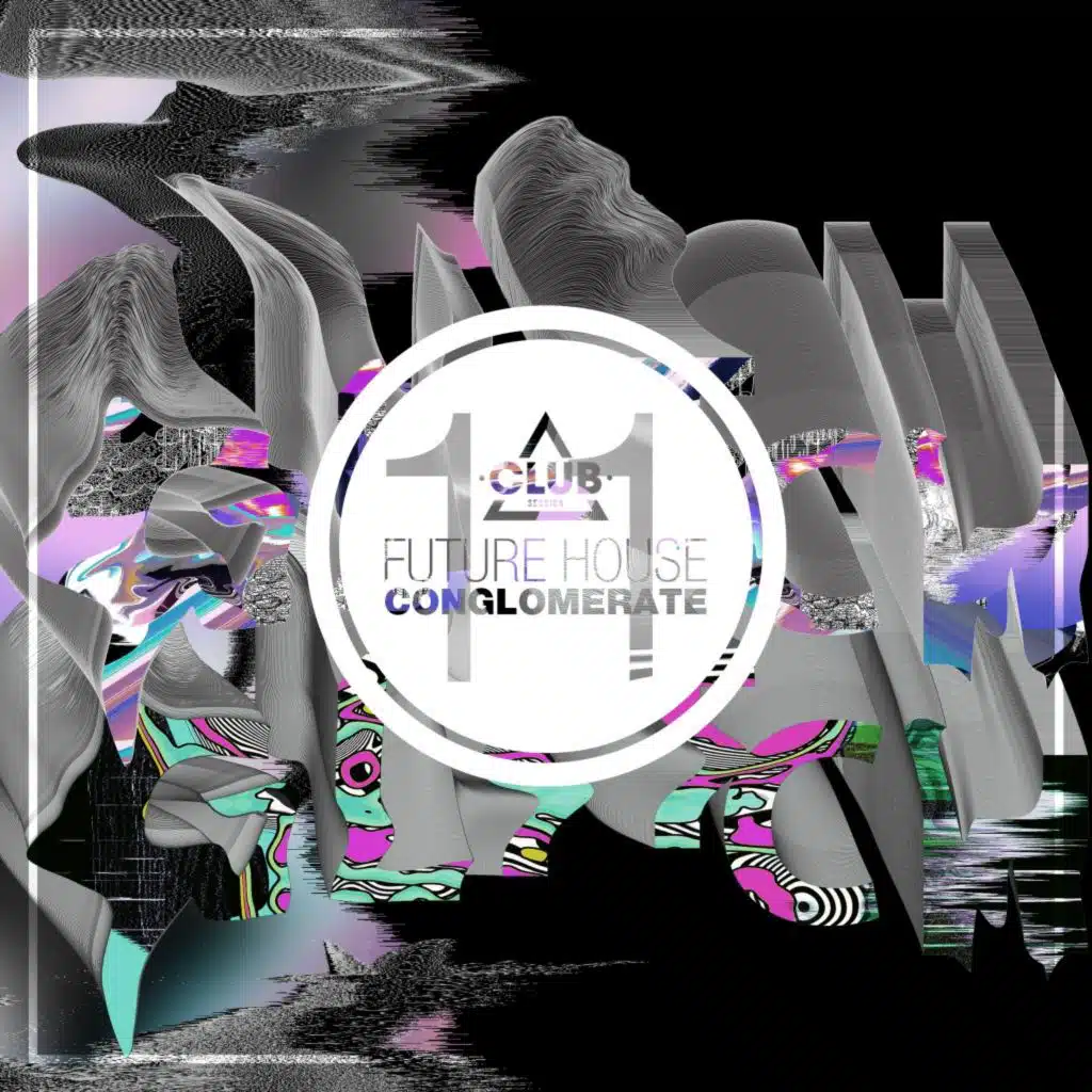 Future House Conglomerate, Vol. 11
