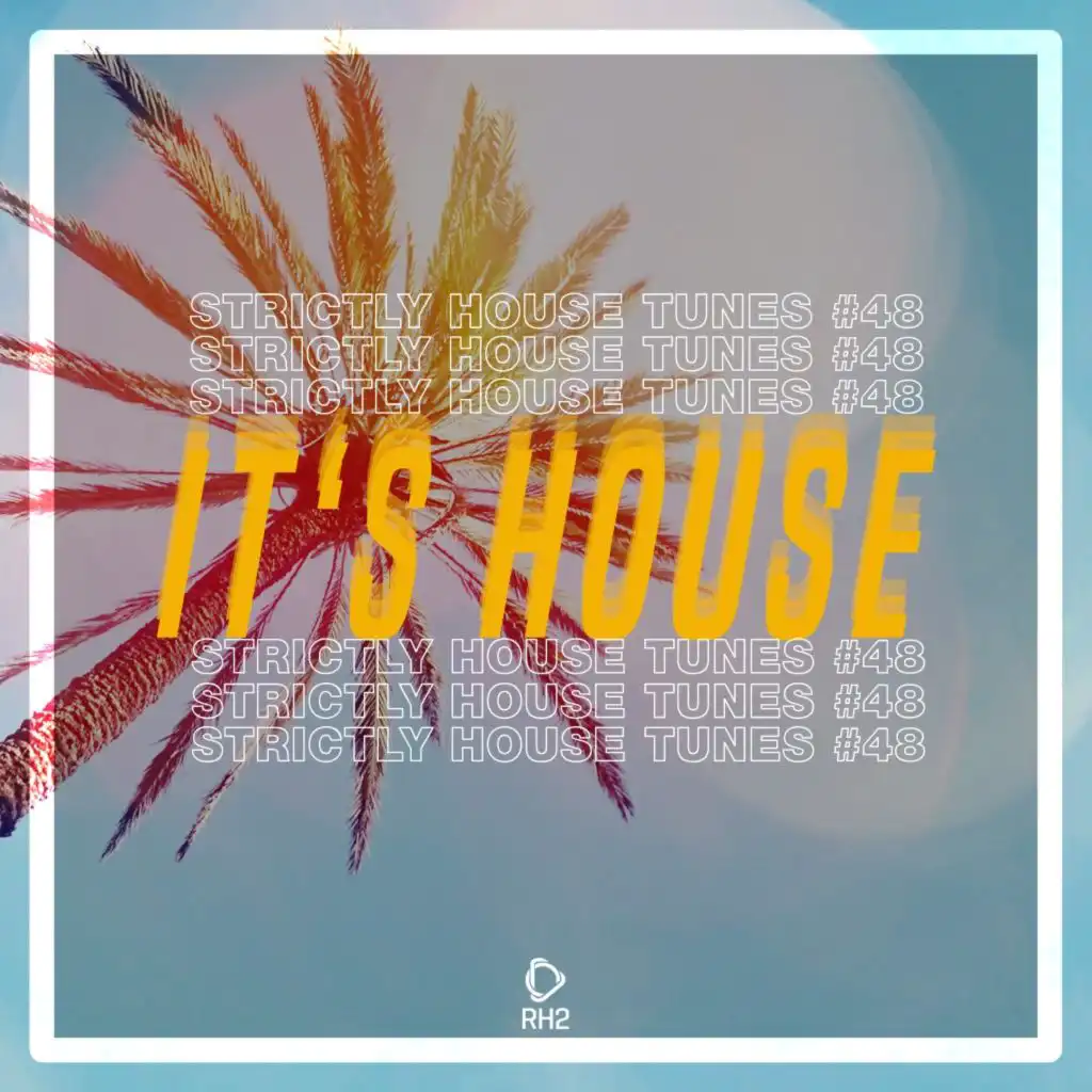 It's House: Strictly House, Vol. 48