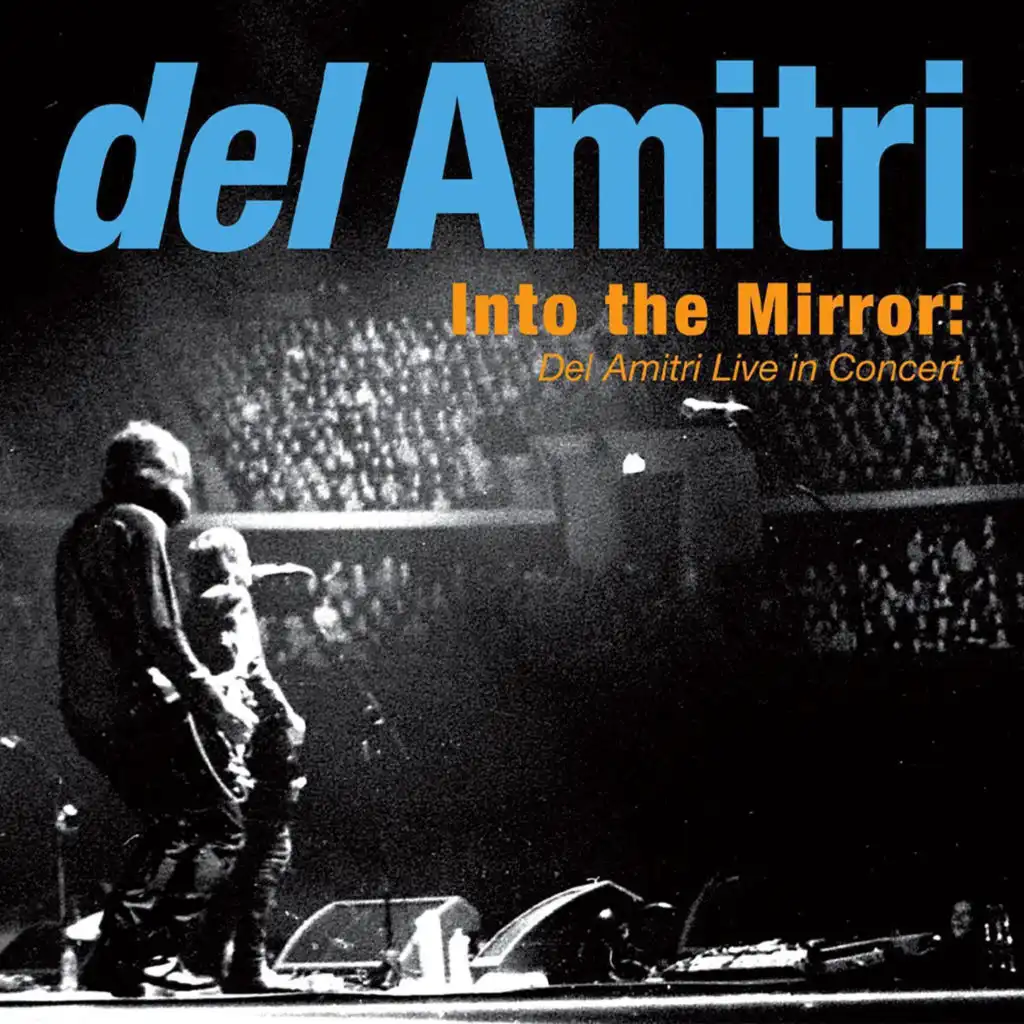 Into the Mirror: Del Amitri Live in Concert