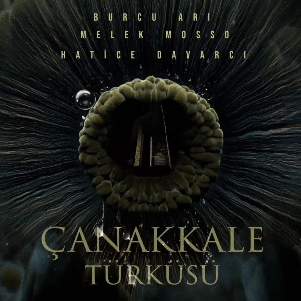 Çanakkale Türküsü (feat. Hatice Davarcı)