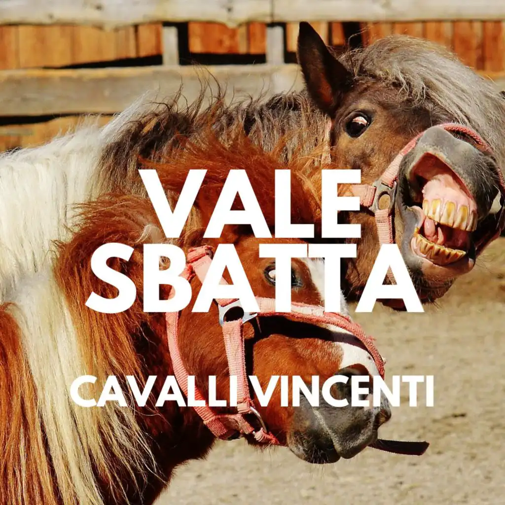 Cavalli vincenti