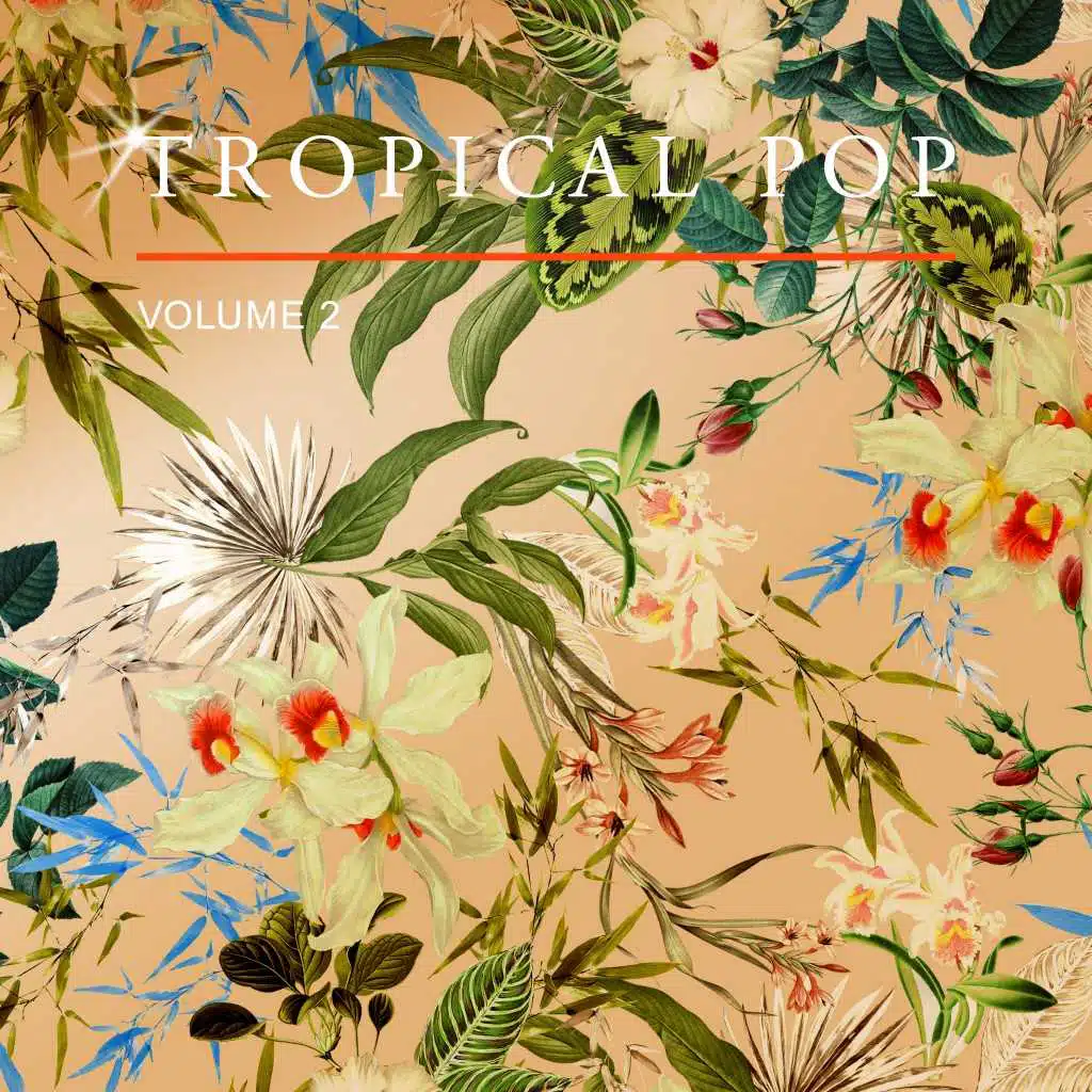 Tropical Pop, Vol. 2