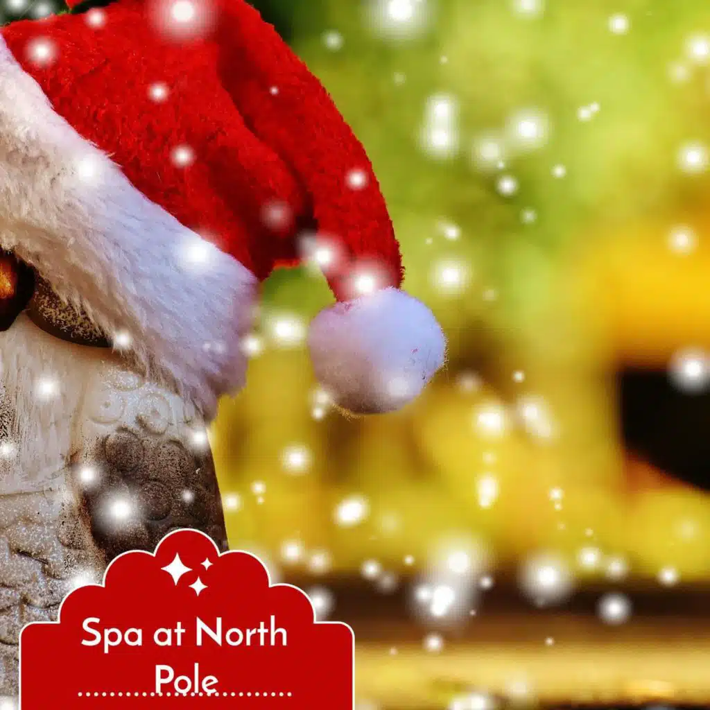 Meditation in Crack of Dawn