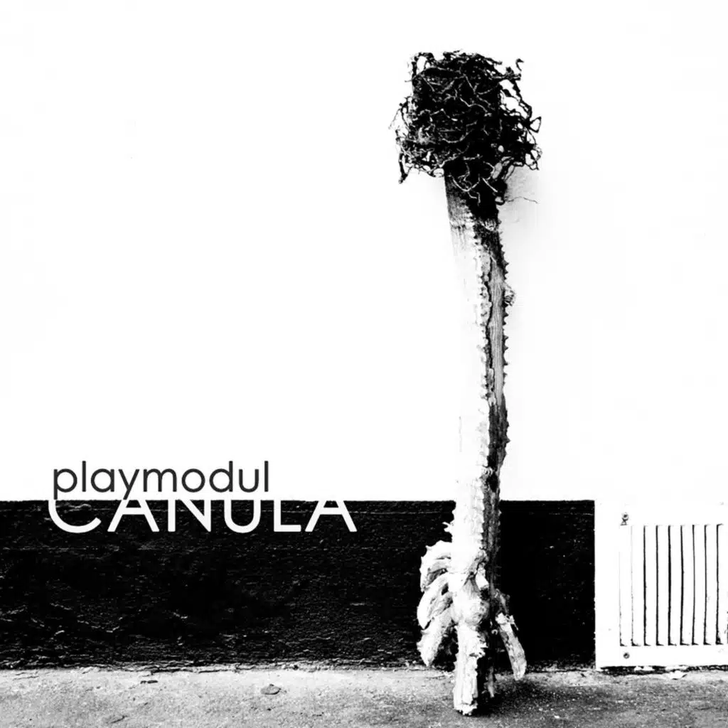 playmodul