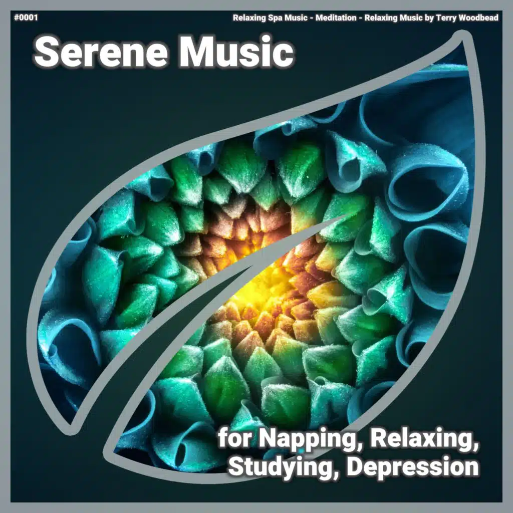 ! #0001 Serene Music for Napping, Relaxing, Studying, Depression