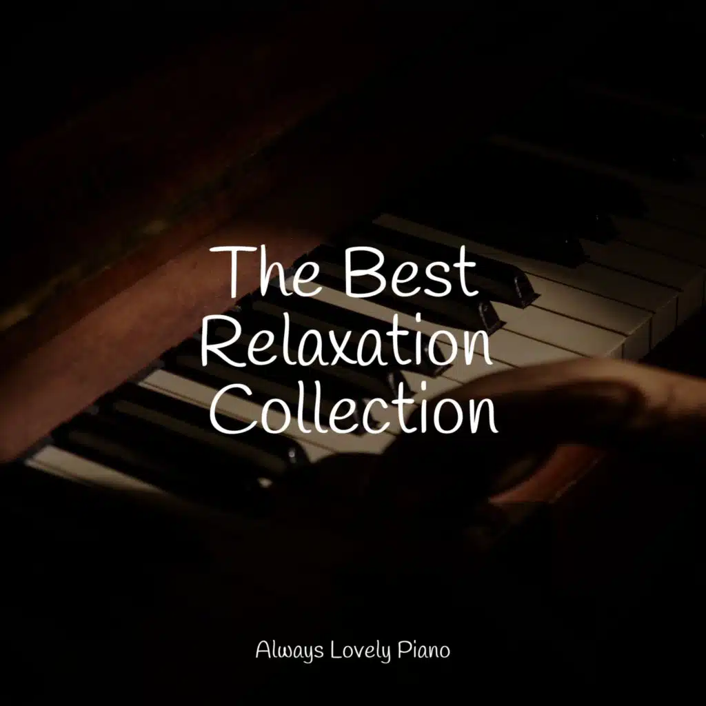 Gentle Piano Music