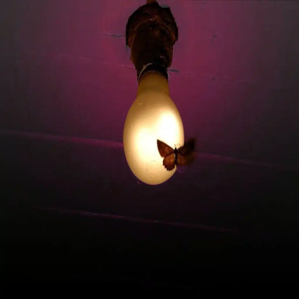 ConsciousThoughts