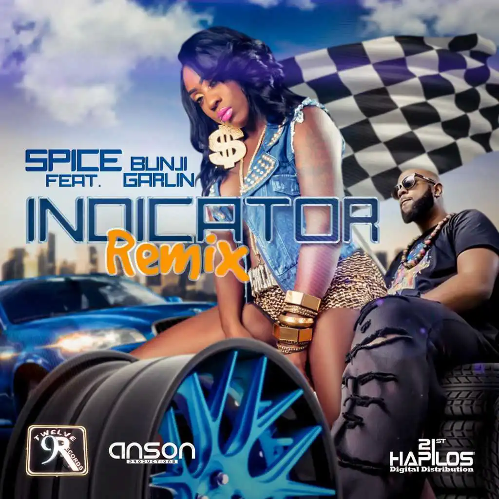 Indicator (Radio Edit) [feat. Bunji Garlin]