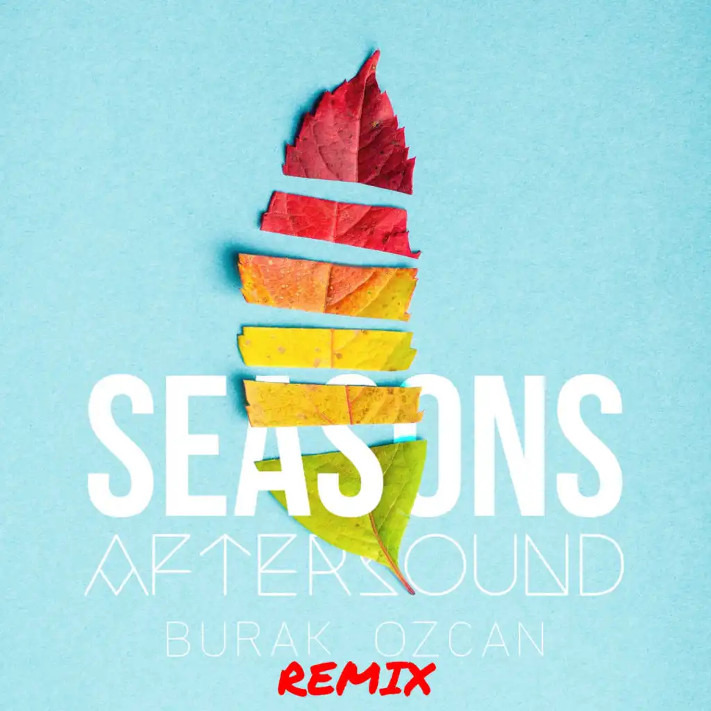 Seasons (Burak Ozcan Remix)