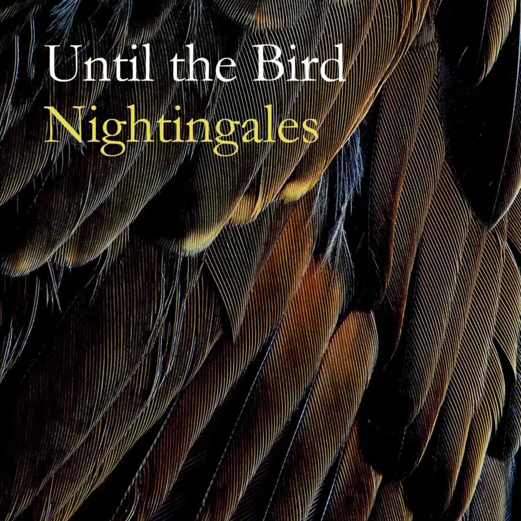 Nightingales (feat. Seth Scott)