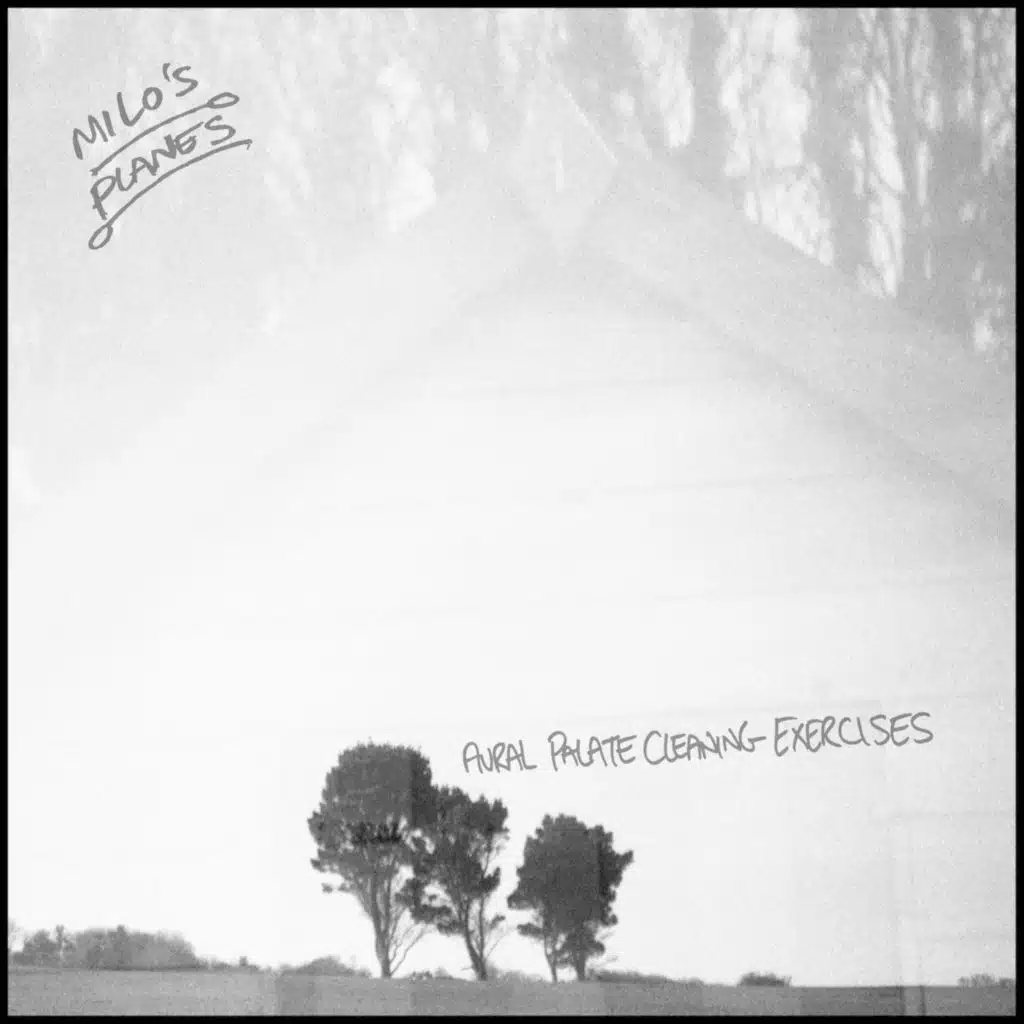 Aural Palate Cleaning Exercises