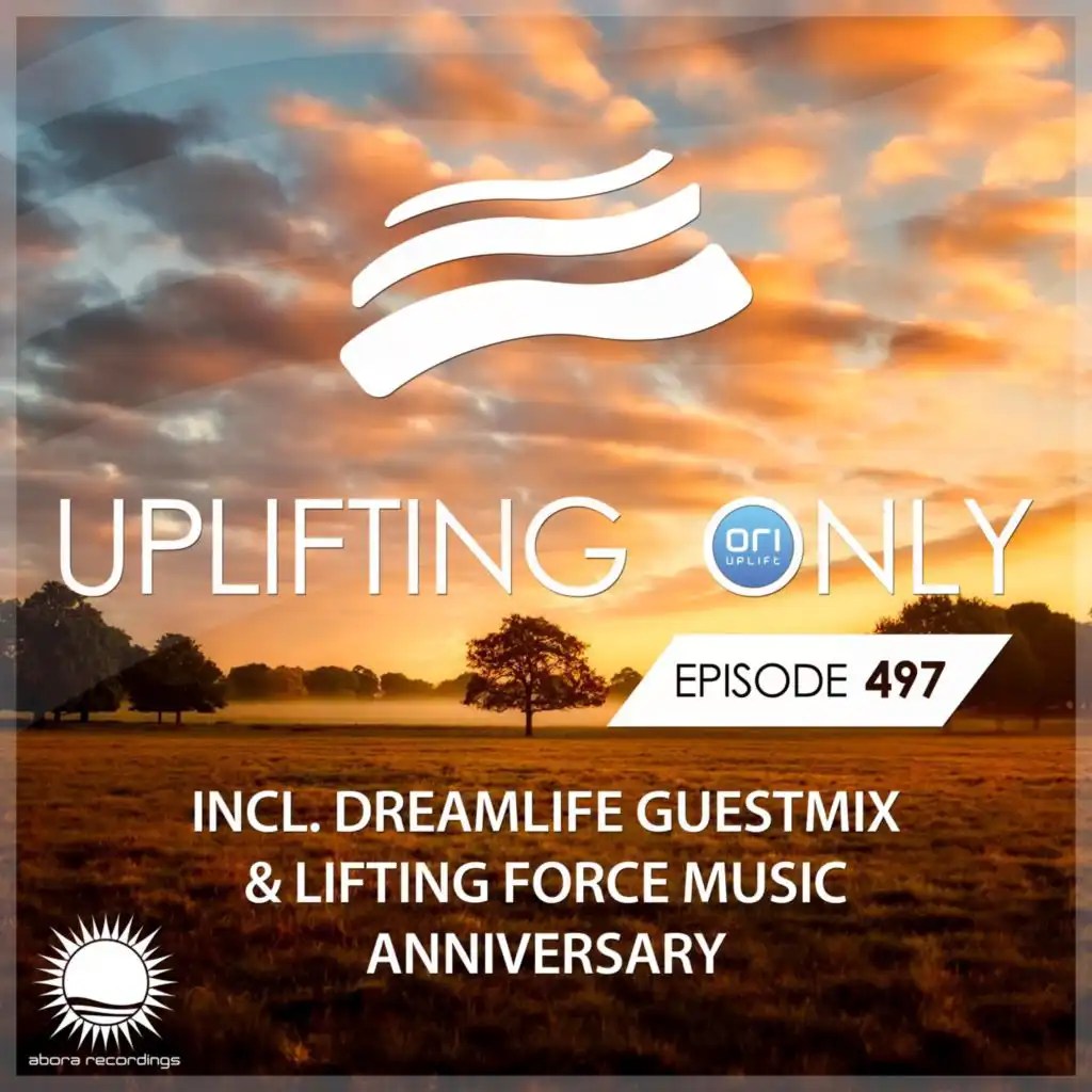 Waiting for You (UpOnly 497) (N-sKing Remix - Mix Cut)