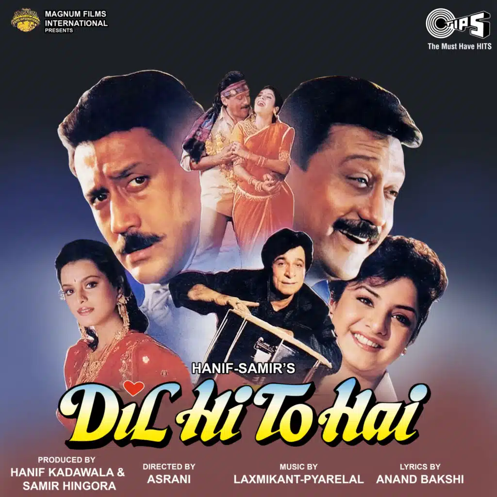 Dil Hi To Hai (Original Motion Picture Soundtrack)