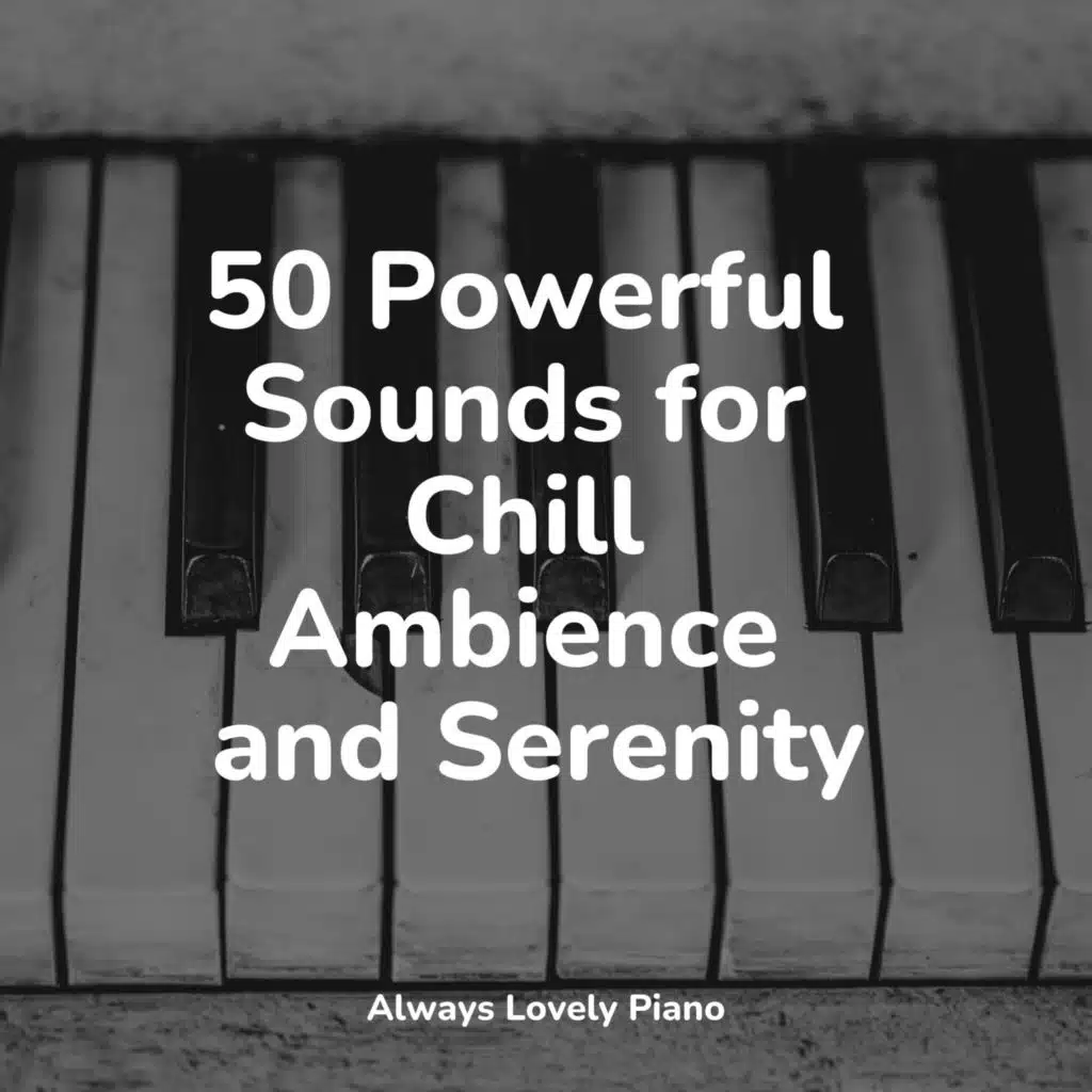 50 Powerful Sounds for Chill Ambience and Serenity