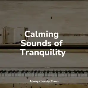 Relaxing Classical Piano Music