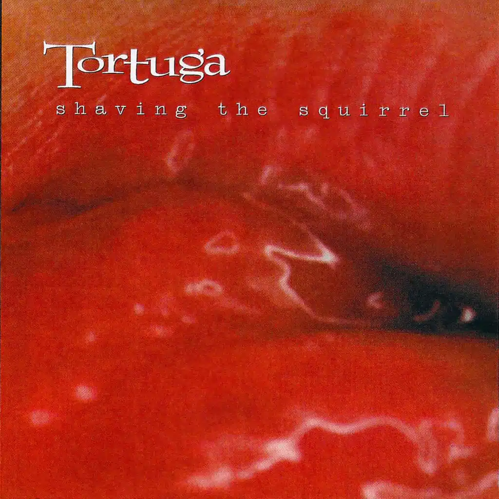 Shaving the Squirrel