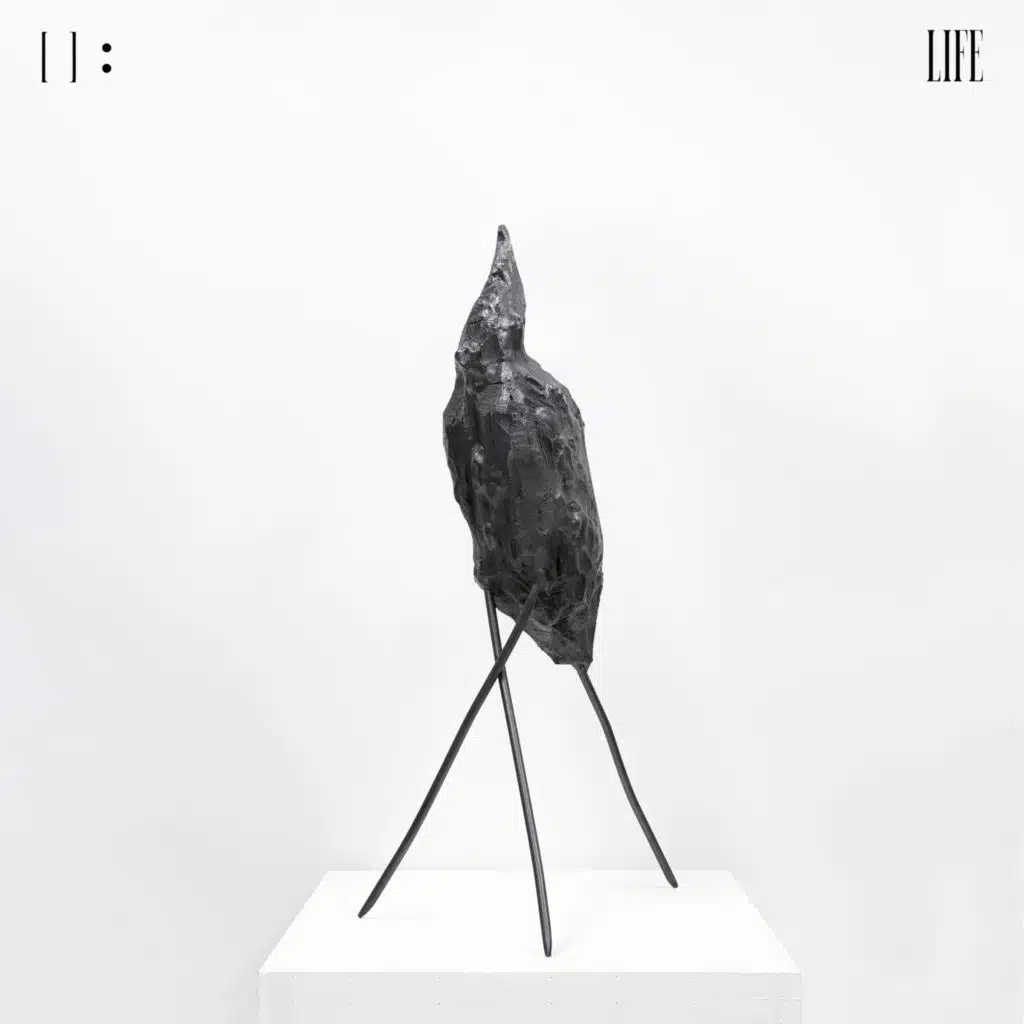 : Life