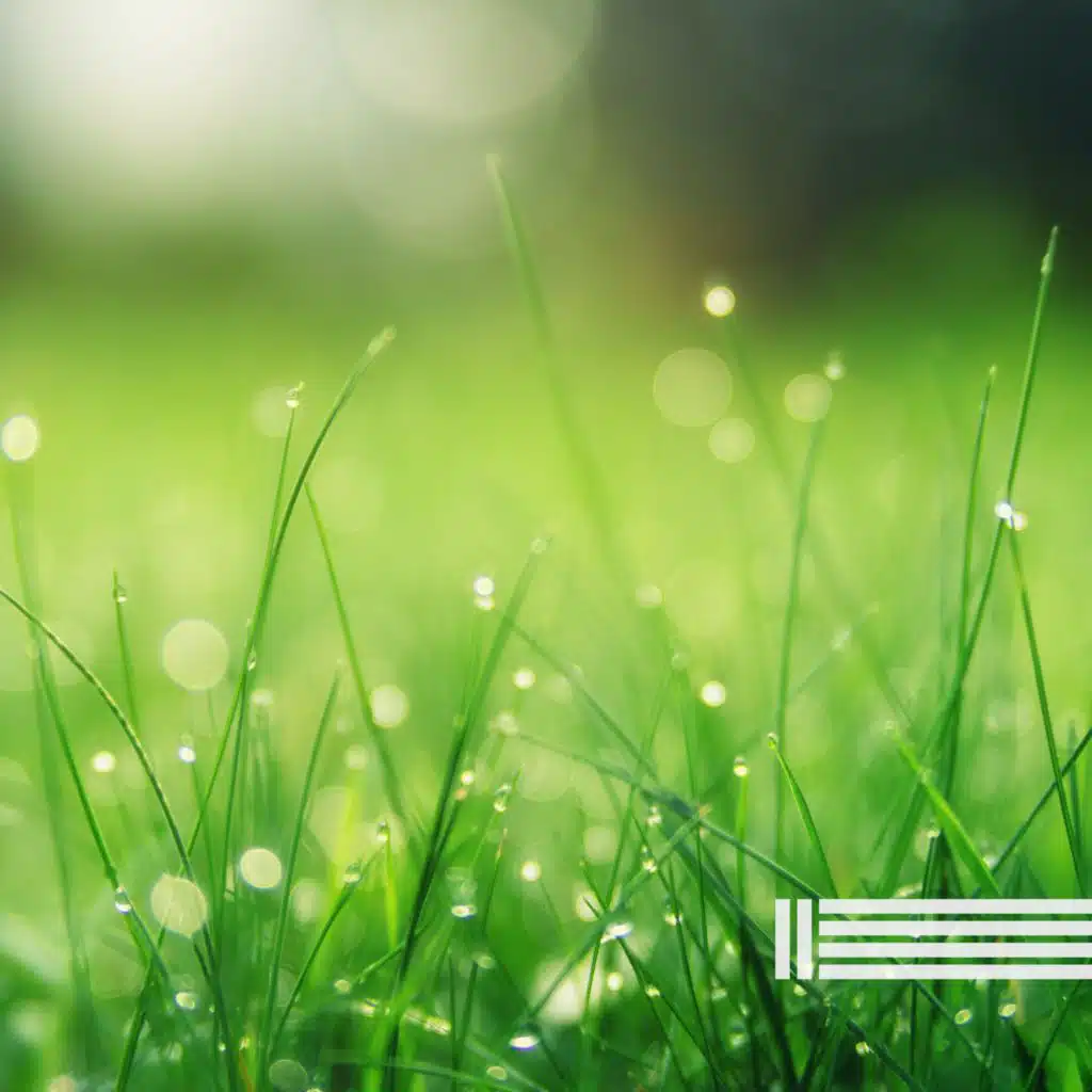 Pluie Naturelle (Bouclable)