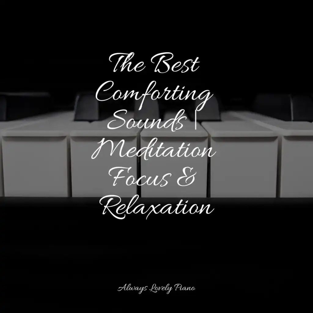 The Best Comforting Sounds | Meditation Focus & Relaxation