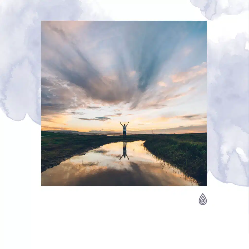 Doux Oasis Apaisant de la Forêt