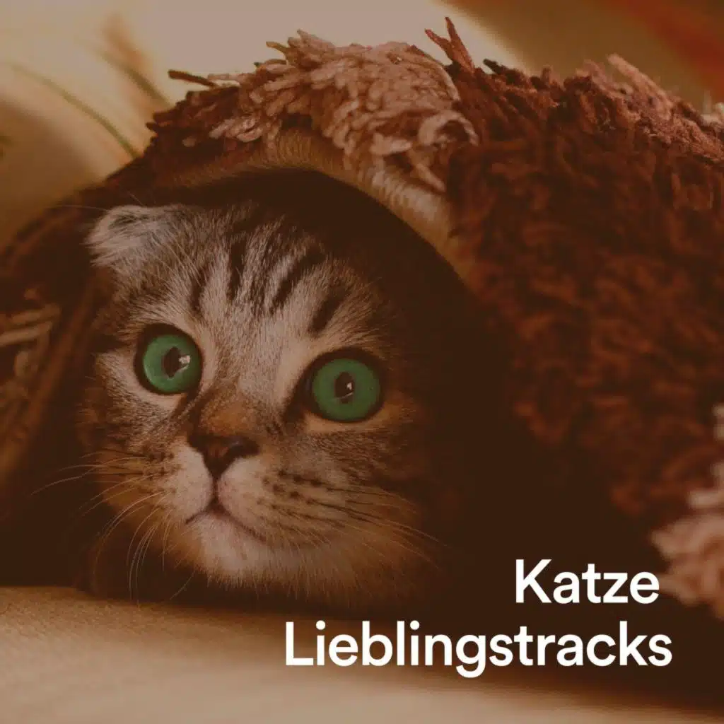 Katze Lieblingstracks