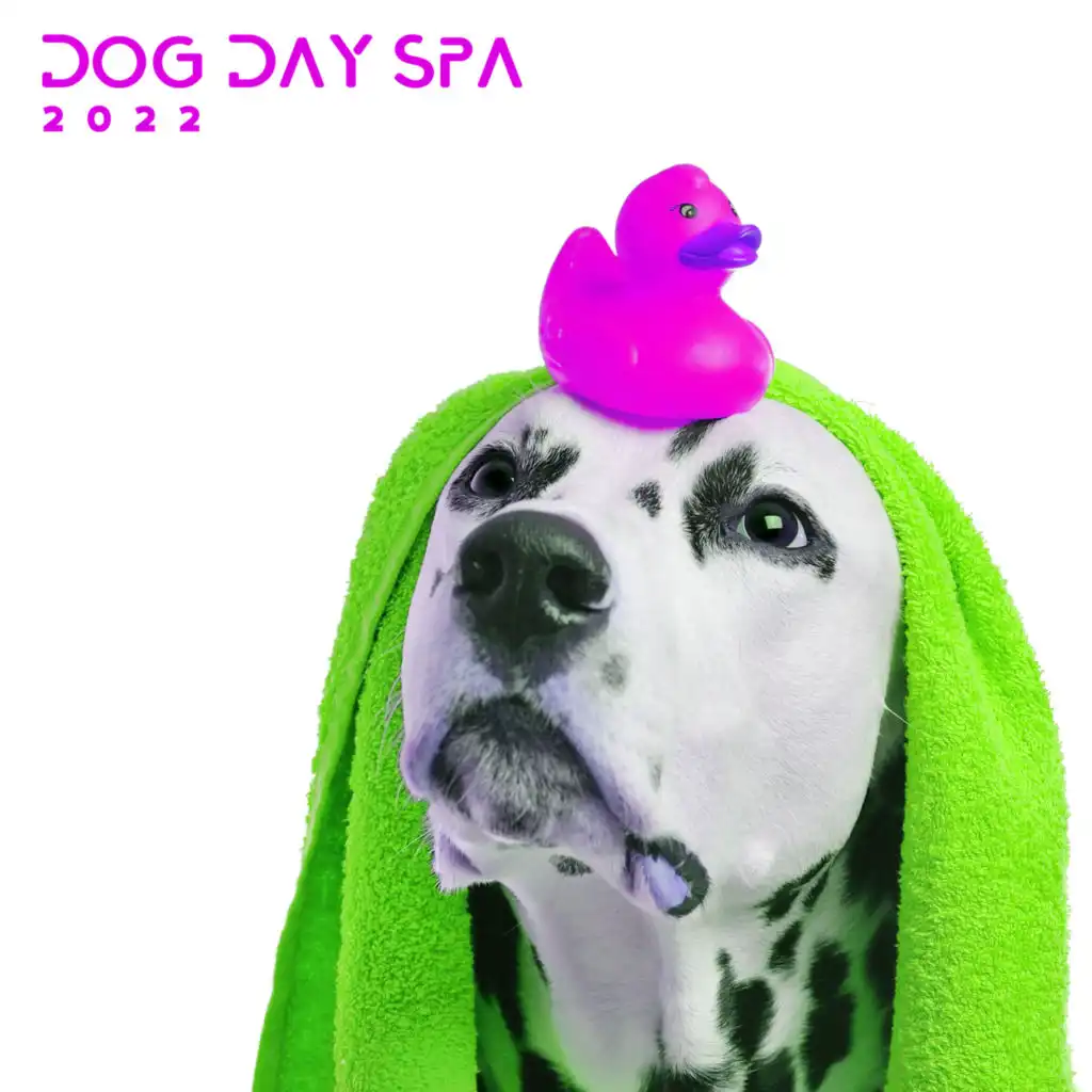 Dog Day Spa 2022