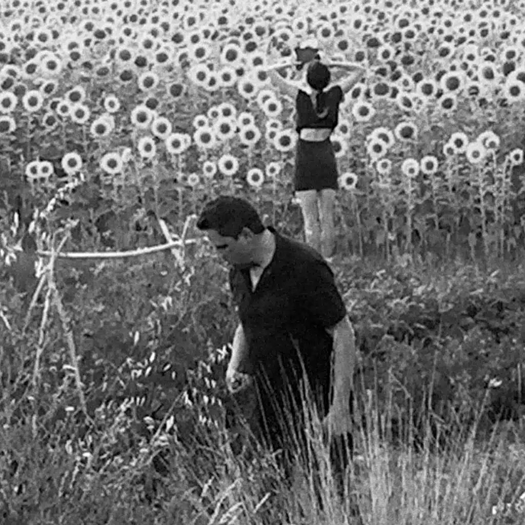 Good Morning My Love