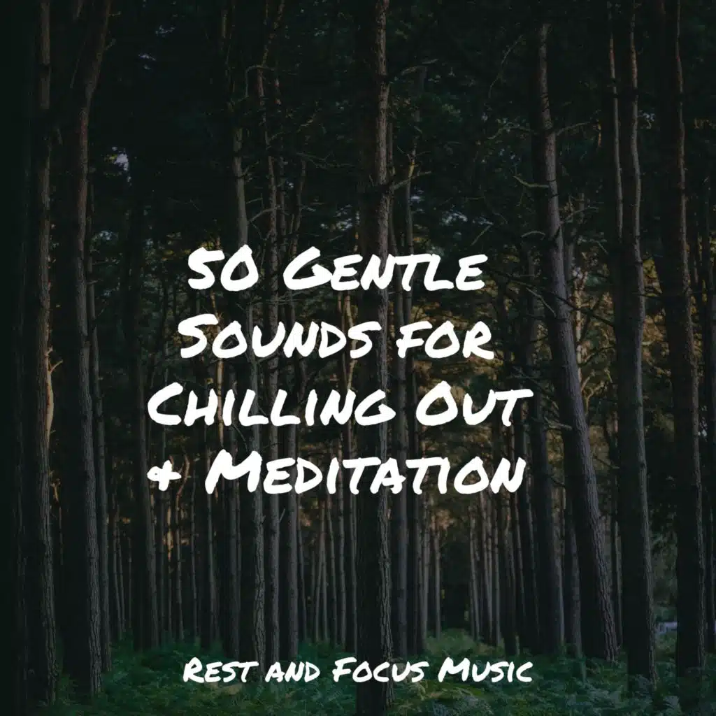 50 Gentle Sounds for Chilling Out & Meditation