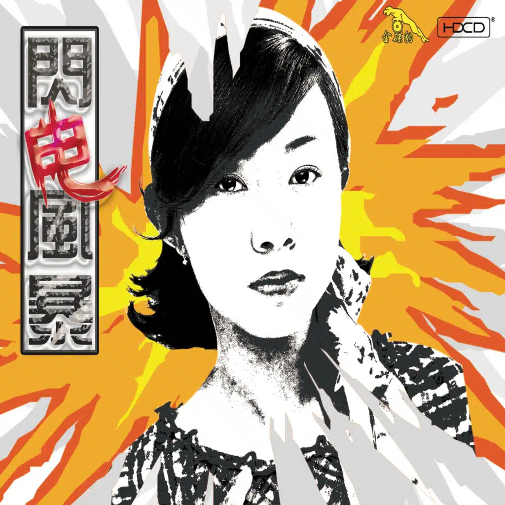叱咤风云 (翻唱)