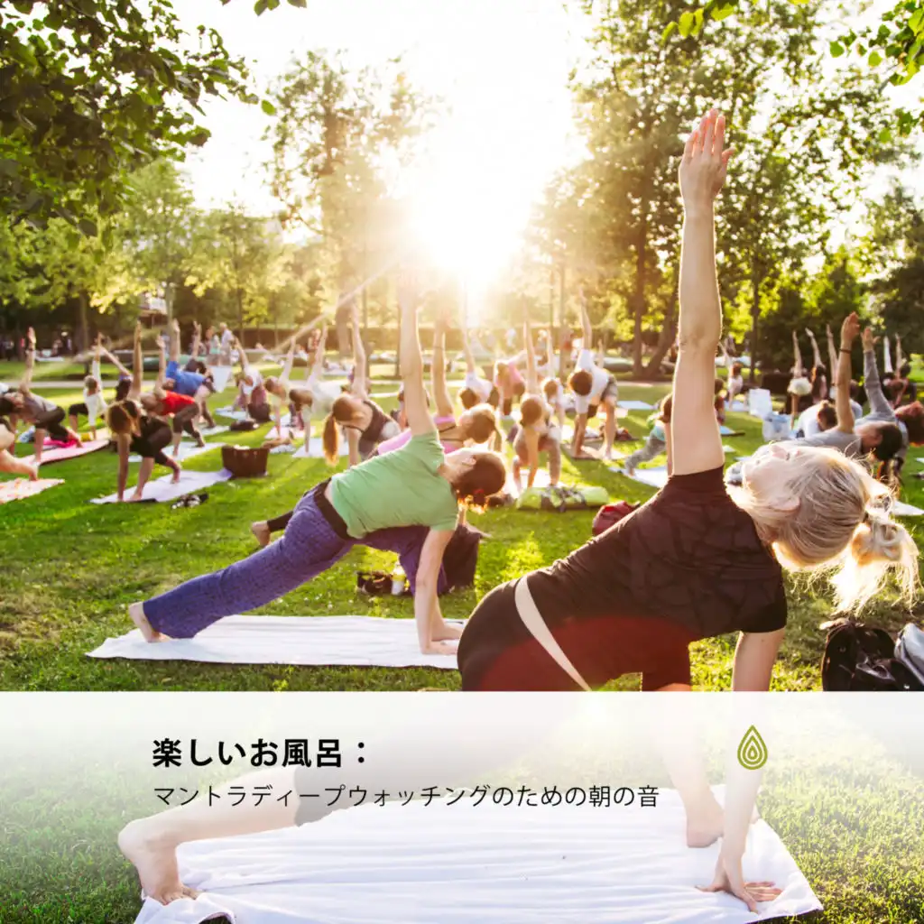 Yoga Goa, Internal Yoga, Rajat Rama Yoga, Spiritual Yoga, Focus & Work, Susan Lili Calm, Relaxing Music Philocalm, Relaxing Music for Sleeping, Yoga Music Spa, Yoga Music Yoga, Yoga Meditation Connection, Relax Chillout Lounge & Mellow Music Inc