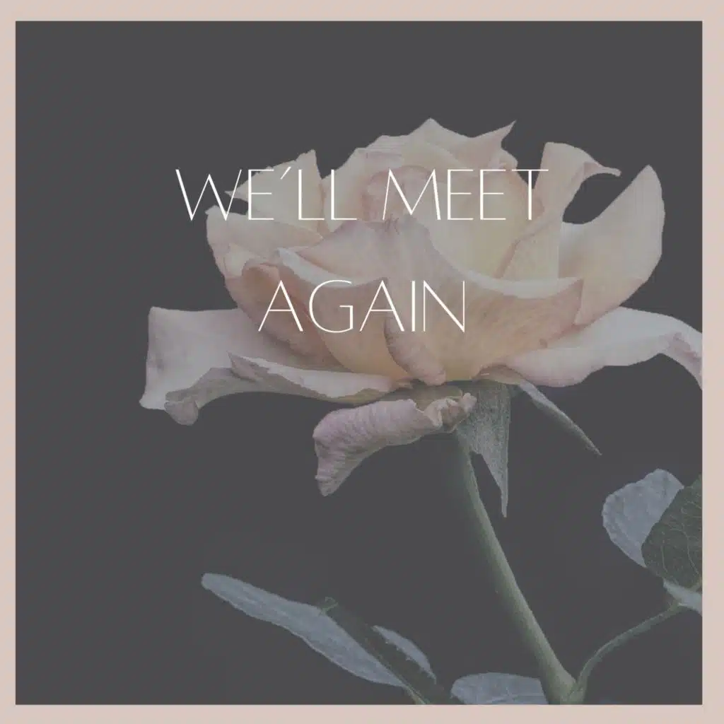 Well Meet Again