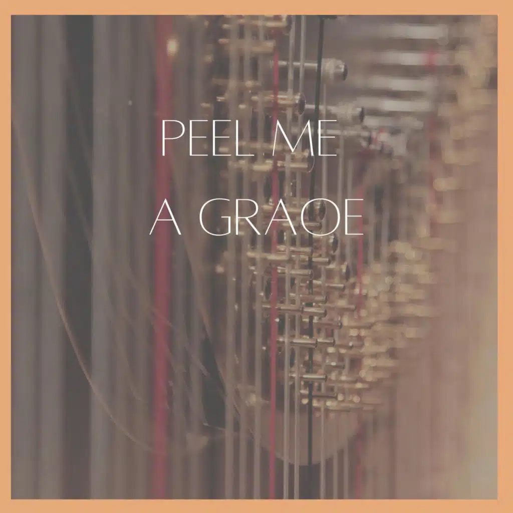 John Williams' Synco Jazzers