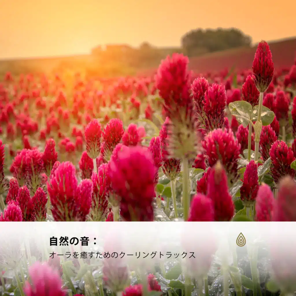 Yoga Music Yoga, Internal Yoga, Relax Chillout Lounge, Binaural Healing, Henry Mindfulness, Focus & Work, Relaxing Music for Sleeping, Spiritual Yoga, Tantric Sex Background Music Experts, Healing Peace, Relaxing Music Philocalm, Yoga Music Spa, Erotic Music Zone & Yao Zen