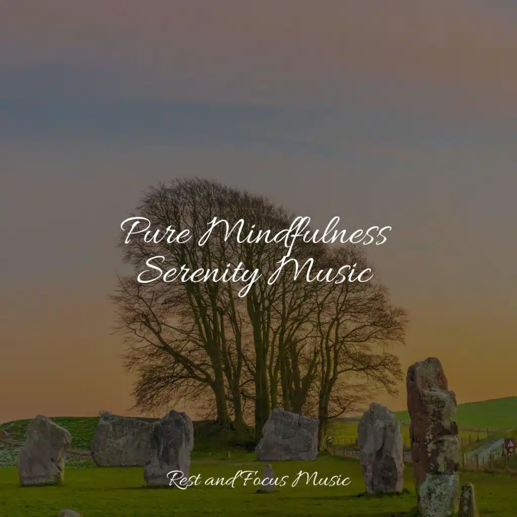 Pure Mindfulness Serenity Music